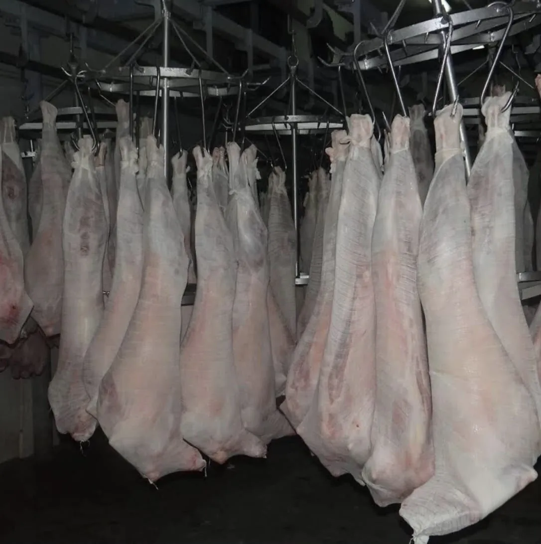 Muslin-wrapped halal carcasses hanging in a cold store
